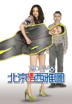 Finding Mr Right (2013)