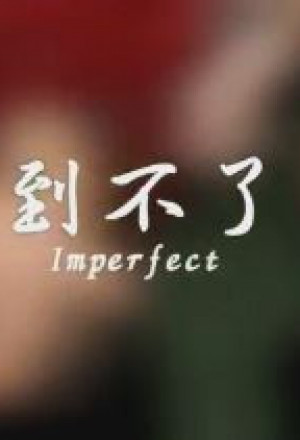 Imperfect (2014)