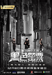 Special Forces Return 2: Black Poppy (2018)